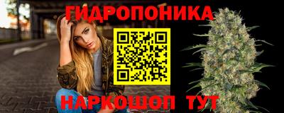 PSILOCYBIN Абакан