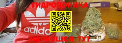 PSILOCYBIN Абакан