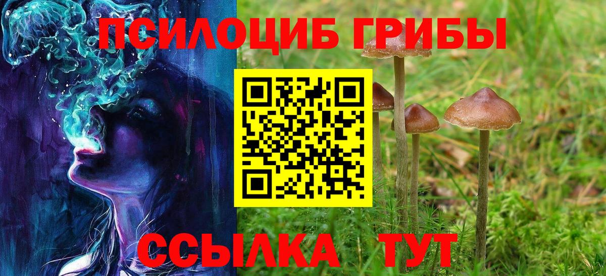 Псилоцибиновые грибы Psilocybe  Псилоцибиновые грибы мицелий  Вход с VPN  Анапа 